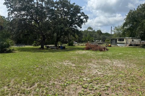 Land in Homosassa, Florida № 2204224 - photo 6