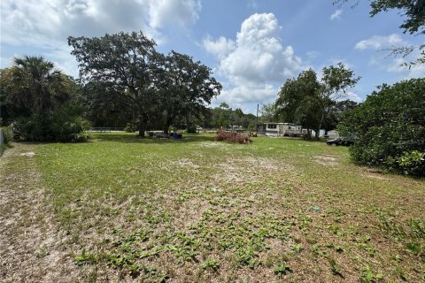 Land in Homosassa, Florida № 2204224 - photo 5
