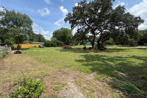 Land in Homosassa, Florida № 2204224 - photo 2