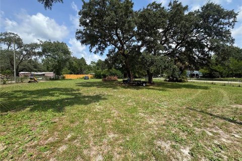 Land in Homosassa, Florida № 2204224 - photo 10