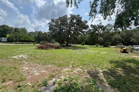 Land in Homosassa, Florida № 2204224 - photo 3