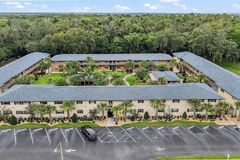 Commercial property in Leesburg, Florida 3671.87 sq.m. № 1819667 - photo 1