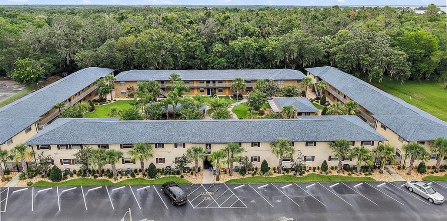 Commercial property in Leesburg, Florida 3671.87 sq.m. № 1819667