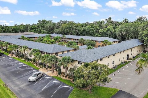Commercial property in Leesburg, Florida 3671.87 sq.m. № 1819667 - photo 2