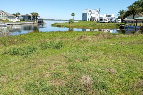 Land in Micanopy, Florida № 766496 - photo 1