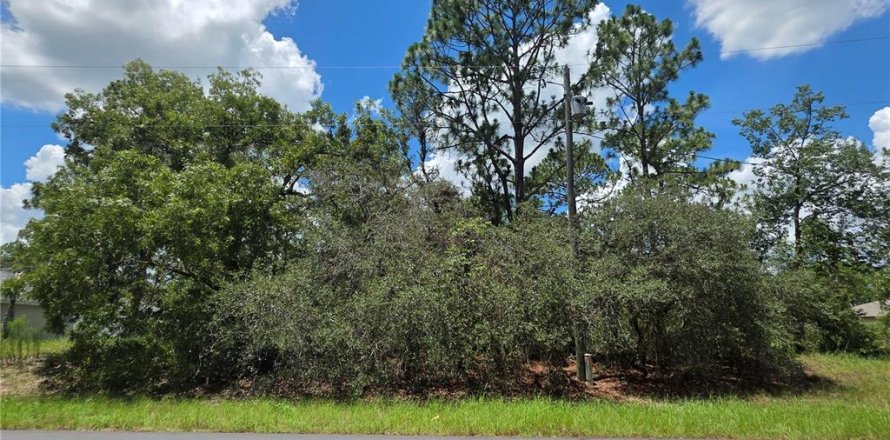 Terreno en Ocala, Florida № 1849417