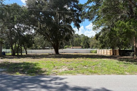 Land in Ocala, Florida № 2368684
