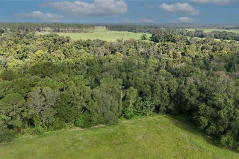 Terreno en venta en Dade City, Florida № 1835711 - foto 6
