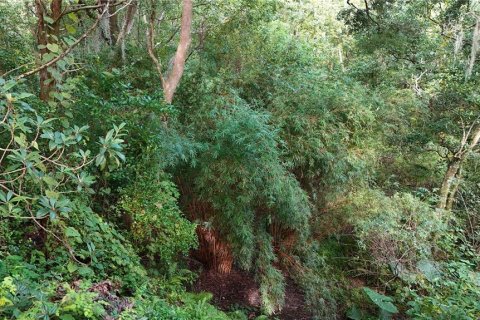 Terreno en venta en Dade City, Florida № 1835711 - foto 9