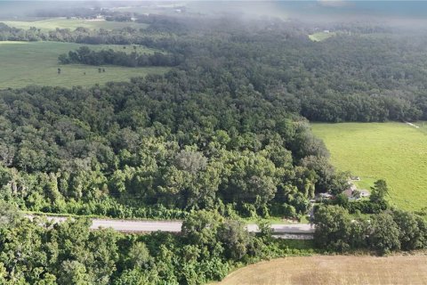 Terreno en venta en Dade City, Florida № 1835711 - foto 5