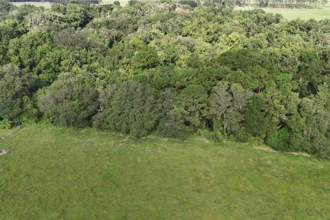 Terreno en venta en Dade City, Florida № 1835711 - foto 7