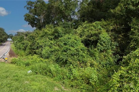 Terreno en venta en Dade City, Florida № 1835711 - foto 8
