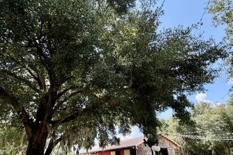Casa en venta en Geneva, Florida, 7 dormitorios, 262.54 m2 № 2385930 - foto 14