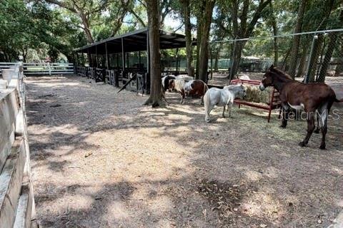 Casa en venta en Geneva, Florida, 7 dormitorios, 262.54 m2 № 2385930 - foto 9