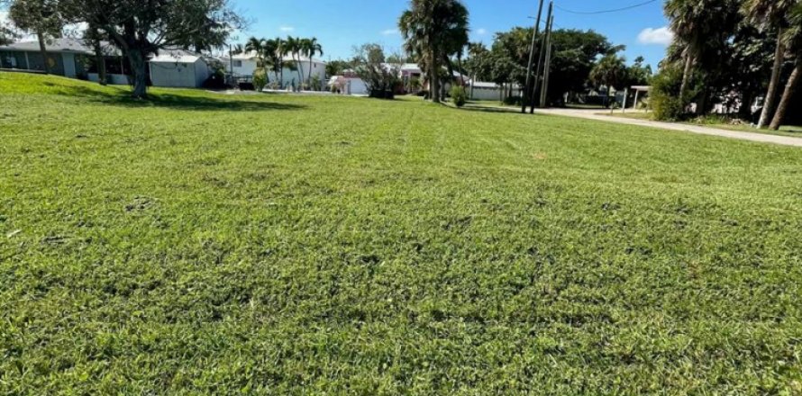 Propiedad comercial en St. Lucie, Florida № 2154299
