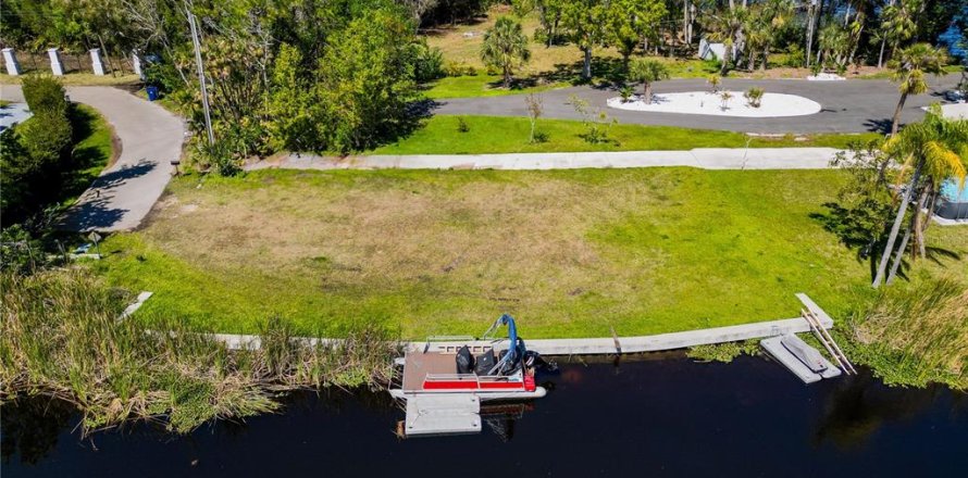 Land in Palm Harbor, Florida № 1584001