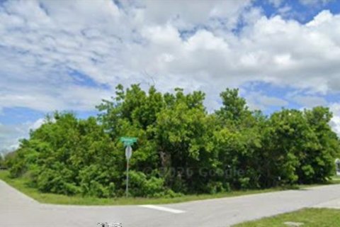 Land in Port Charlotte, Florida № 2159199 - photo 2