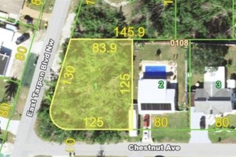 Land in Port Charlotte, Florida № 2159199