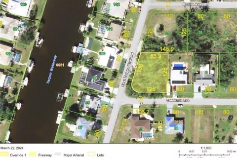 Land in Port Charlotte, Florida № 2159199 - photo 3