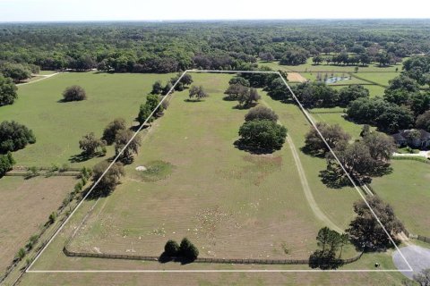 Land in Ocala, Florida № 1523486 - photo 1
