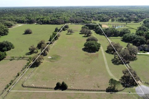 Terrain à vendre à Ocala, Floride № 1523486 - photo 4