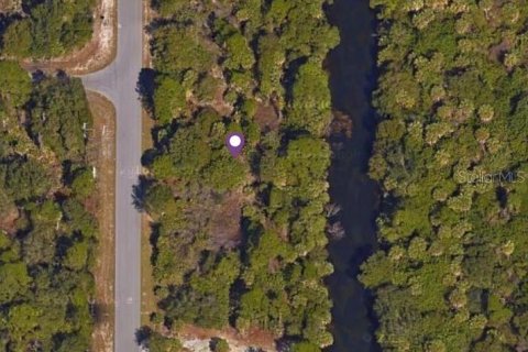 Land in Port Charlotte, Florida № 2160410 - photo 3