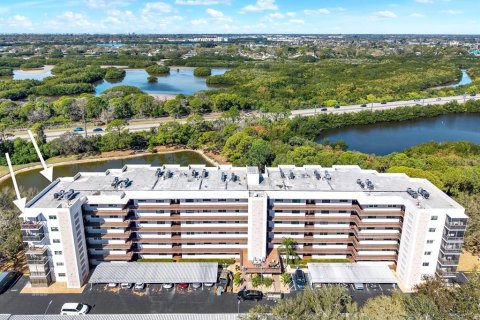 Condo in Saint Petersburg, Florida, 2 bedrooms  № 2099990