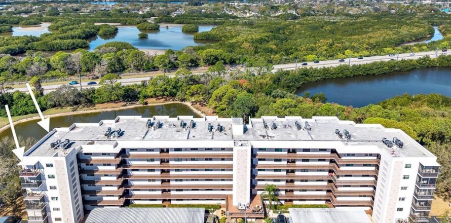 Condo in Saint Petersburg, Florida, 2 bedrooms № 2099990