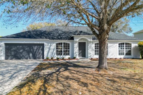 Villa ou maison à vendre à Ocala, Floride: 4 chambres, 209.59 m2 № 1511248 - photo 1