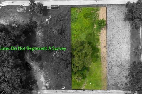 Land in Sarasota, Florida № 1824937 - photo 6
