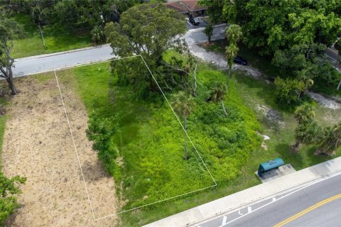 Land in Sarasota, Florida № 1824937 - photo 4