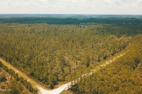Land in Glen Saint Mary, Florida № 769646 - photo 1