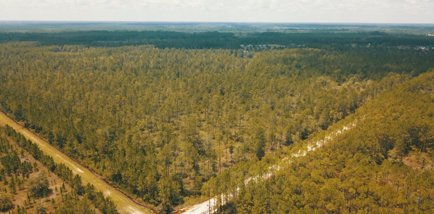 Land in Glen Saint Mary, Florida № 769646