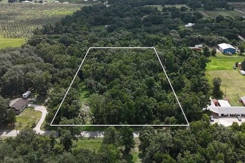 Land in Wauchula, Florida № 2210374