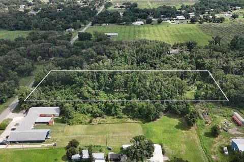 Land in Wauchula, Florida № 2210374 - photo 2