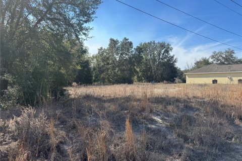 Land in Dunnellon, Florida № 1540965 - photo 3