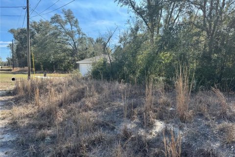 Land in Dunnellon, Florida № 1540965 - photo 4