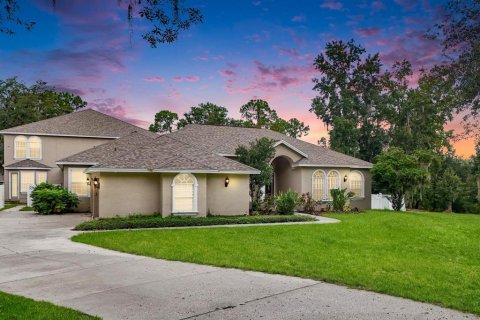 House in Riverview, Florida 6 bedrooms, 509.48 sq.m. № 1533177 - photo 1