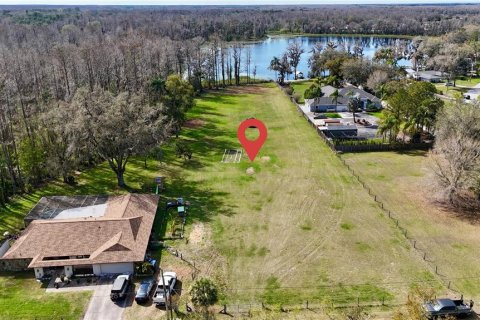 Land in Lutz, Florida № 1722072 - photo 1