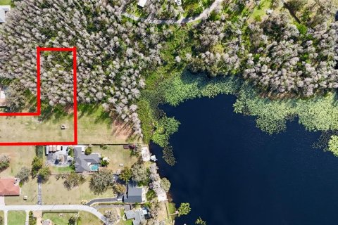Land in Lutz, Florida № 1722072 - photo 2