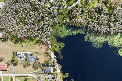 Land in Lutz, Florida № 1722072 - photo 7