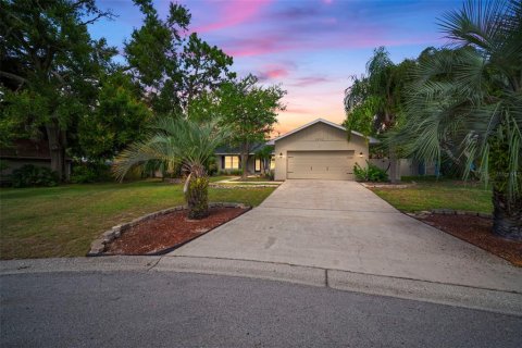 Casa en venta en Valrico, Florida, 4 dormitorios, 178.09 m2 № 1832876 - foto 5