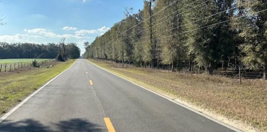 Land in Bell, Florida № 1511814
