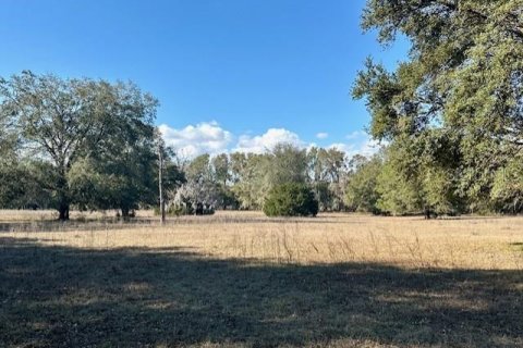 Land in Bell, Florida № 1511814 - photo 3