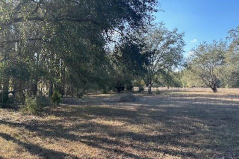 Land in Bell, Florida № 1511814 - photo 6