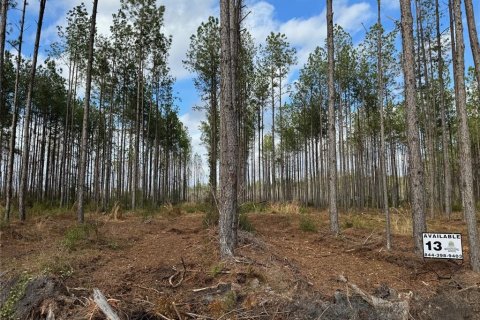 Land in Lake Butler, Florida № 1242597 - photo 1