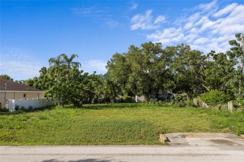 Land in Sarasota, Florida № 2234202