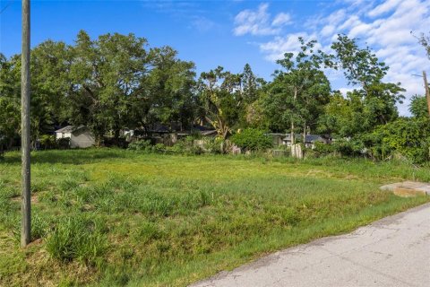 Land in Sarasota, Florida № 2234202 - photo 4