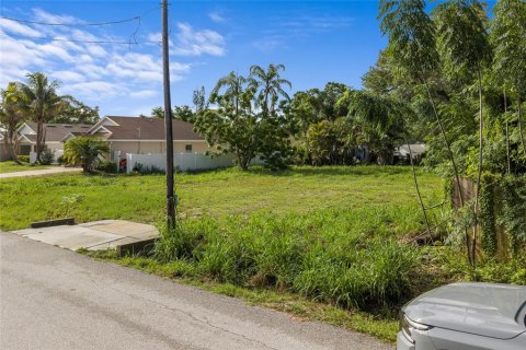 Land in Sarasota, Florida № 2234202 - photo 5