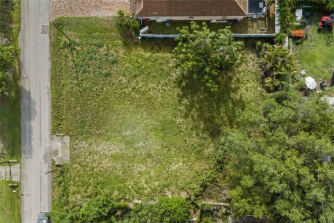 Land in Sarasota, Florida № 2234202 - photo 6